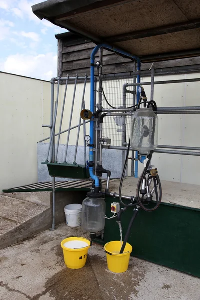 Milking machine — Stockfoto