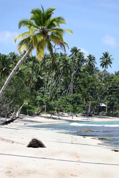 Indonesiska tropisk strand — Stockfoto