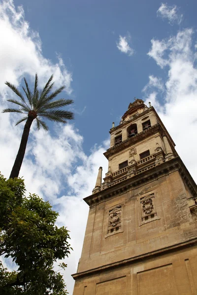 Cordoba Spanien — Stockfoto