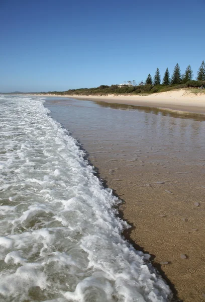 Pippies Beach - Yamba - ออสเตรเลีย — ภาพถ่ายสต็อก