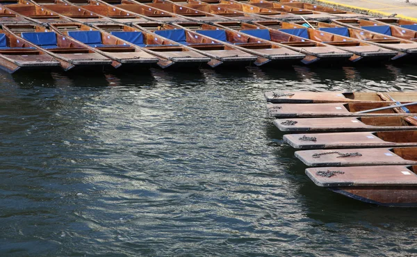 Punts Canbridge Inglaterra — Fotografia de Stock