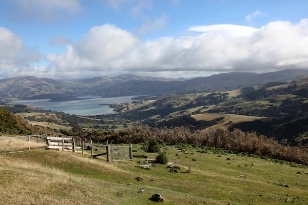 Акароа - Новая Зеландия — стоковое фото