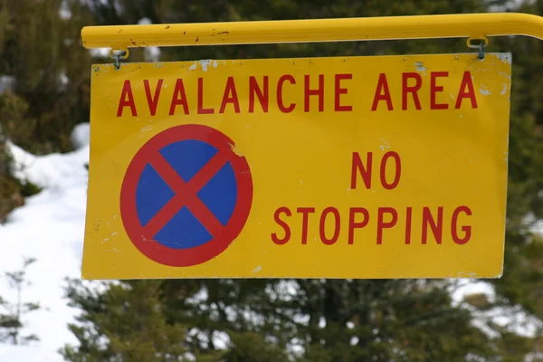 Çığ alanı