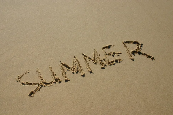 Summer — Stock Photo, Image