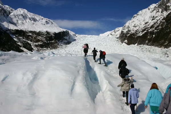 Fox glacier Νέα Ζηλανδία — Φωτογραφία Αρχείου