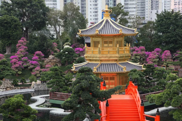 Çin pagoda - hong kong — Stok fotoğraf