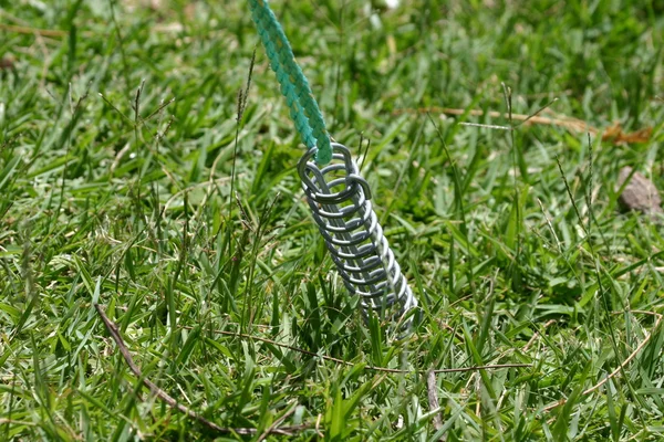 Tent Guy Rope — Stock Photo, Image