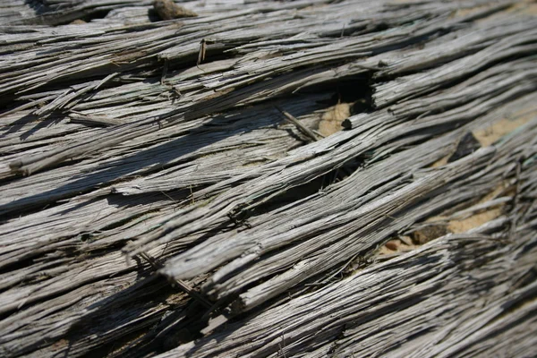 Driftwoods Background — Stock Photo, Image