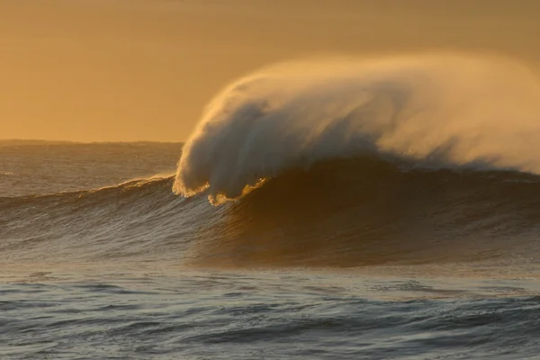 Morning Wave — Stock Photo, Image