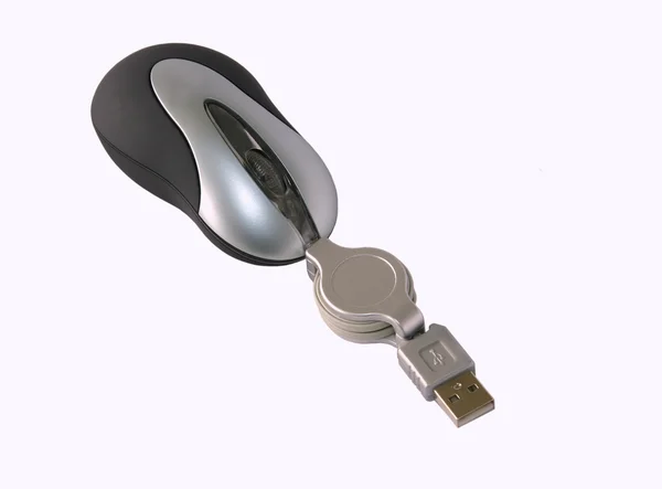 Computer mouse — Stock Photo, Image