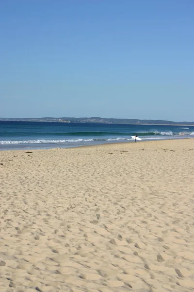 Rudy plaży newcastle australia — Zdjęcie stockowe
