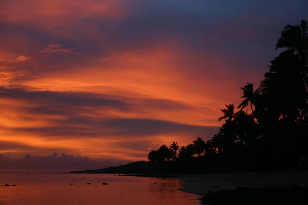 Côte de corail Fidji — Photo