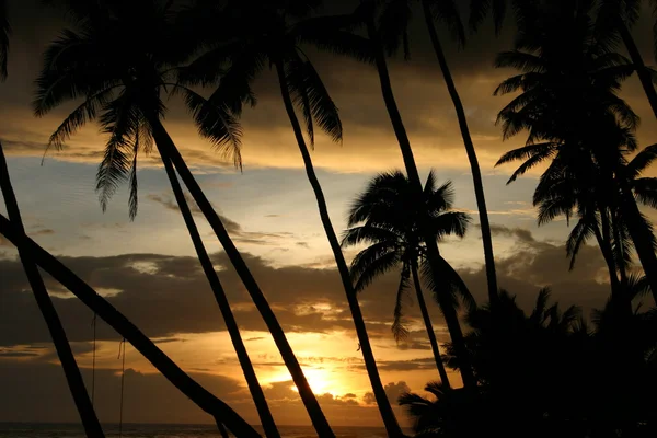 Somoa zonsondergang — Stockfoto