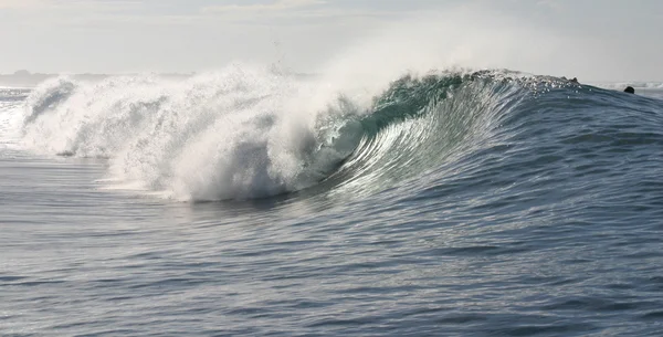 Barrel Samoa — Stock Photo, Image