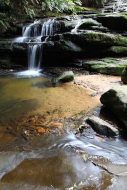 Leura Cascades