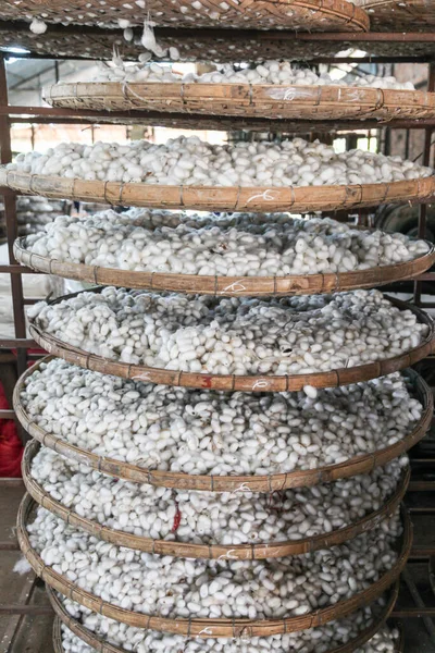 Cocons Vers Soie Dans Usine Soie Dalat Vietnam — Photo