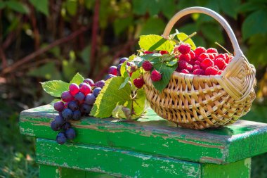Bahçedeki bir sepet ahududu ve üzüm.