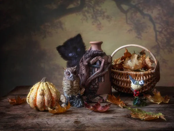 Lustiges Herbstbild Mit Einem Kleinen Schwarzen Kätzchen — Stockfoto