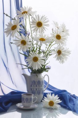 Bahçe papatyalarıyla geçen yaz