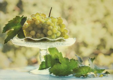 Islak camda üzümlerle dolu sakin bir hayat