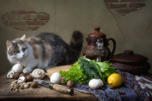 ベジタリアンテーブルの上に可愛い子猫 ストック写真