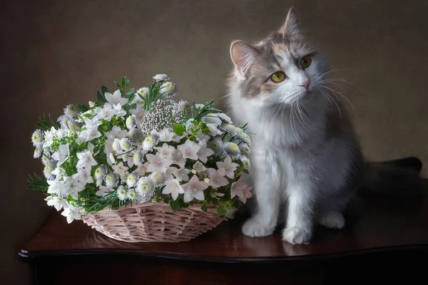 ふわふわシベリアの子猫と白い花のバスケット ロイヤリティフリーのストック画像
