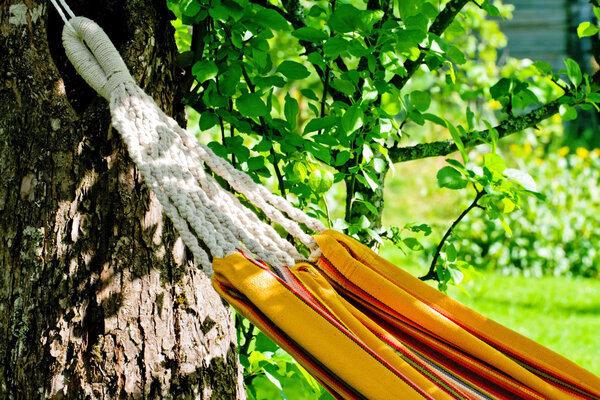 Апельсиновый гамак
