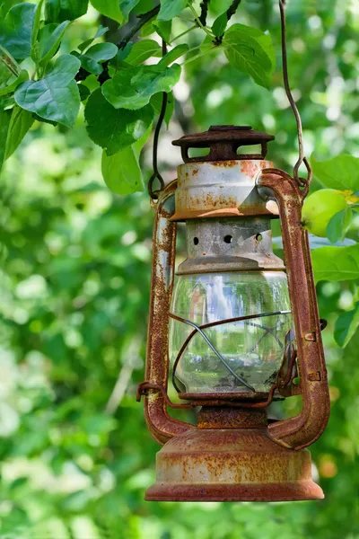 Malerische Öllaterne hängt in einem Apfelbaum — Stockfoto