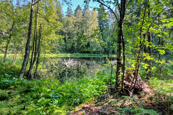 Small lake landscape in Finland — Stock Photo, Image