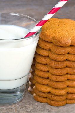 bir bardak süt ile gingerbread çerezleri