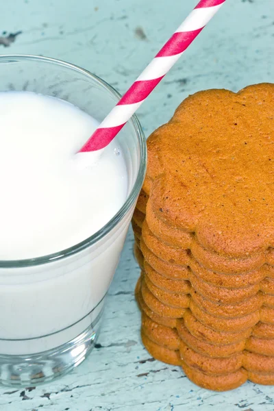 Christamas setting with cookies and milk — Stock Photo, Image