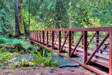 Hiking trail with bridge crossing a river clipart