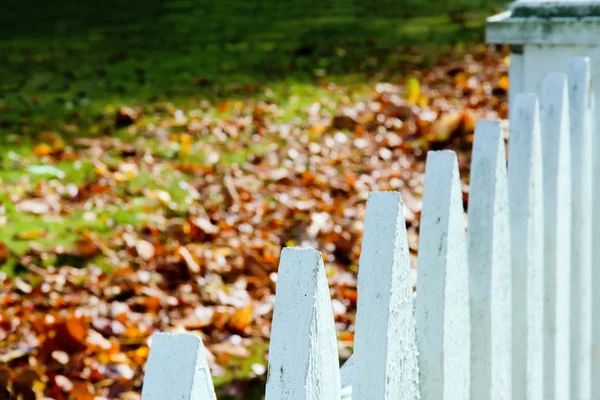 Close-up van witte piket hek met herfst bladeren — Stockfoto
