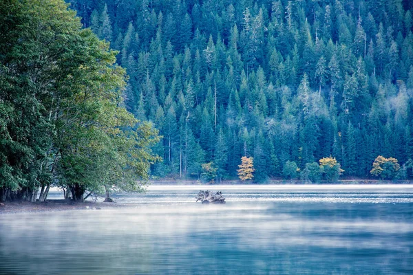 Lake in avond met mist — Stockfoto