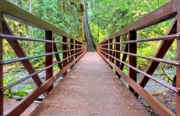 Ponte na floresta tropical — Fotografia de Stock