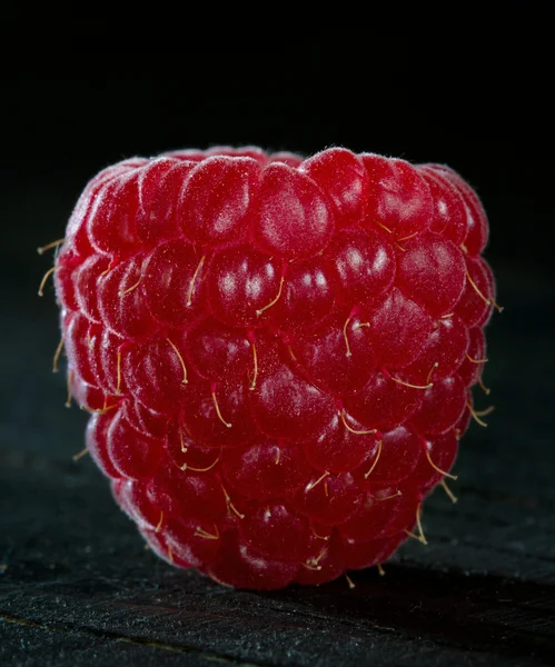 Makro einer einzigen Himbeere — Stockfoto