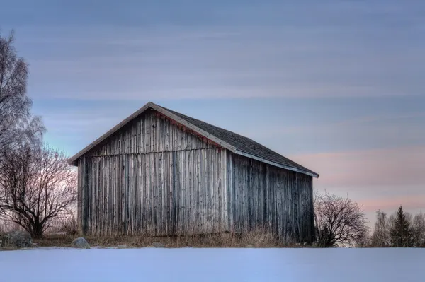 Grey old barn in evening sunset — Stock Photo, Image