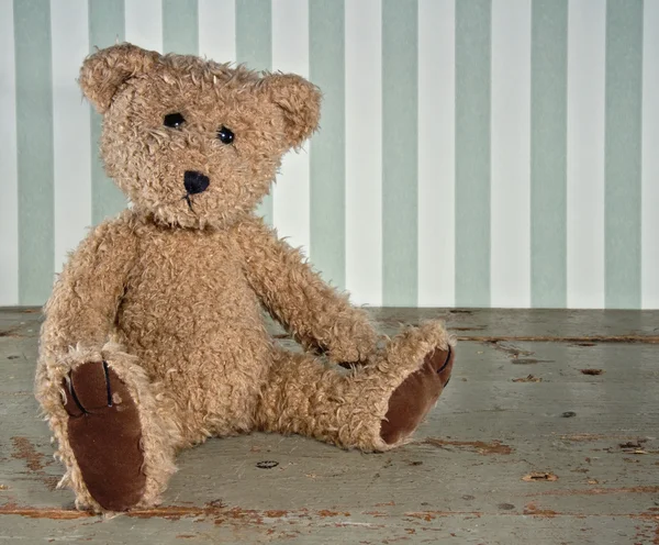 Oude vintage teddy bear — Stockfoto