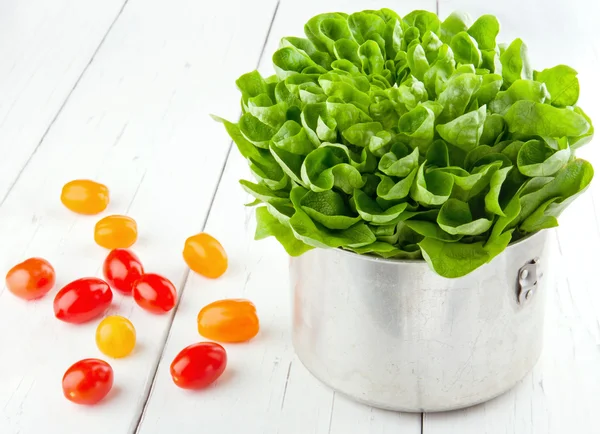 Färska tomater och grön sallad — Stockfoto