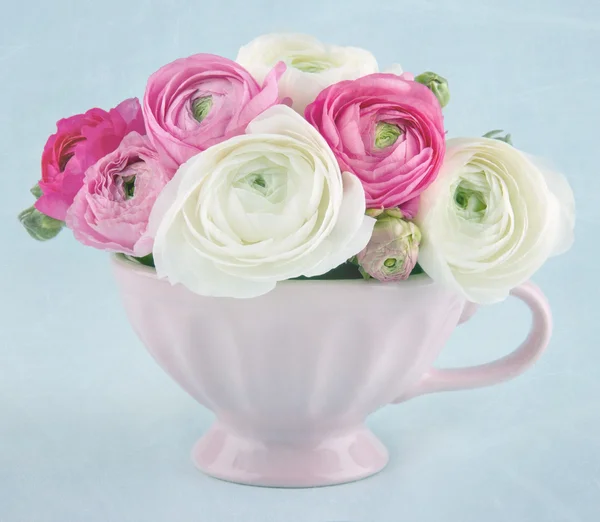 Ranunculus flores en una taza rosa — Foto de Stock