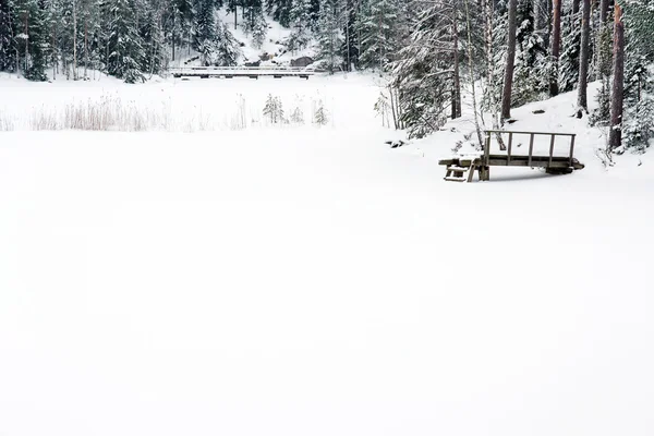 Paesaggio invernale innevato in Finlandia — Foto Stock