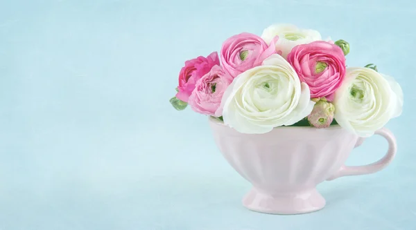 Ranunculus flores en una taza rosa con espacio para copiar — Foto de Stock