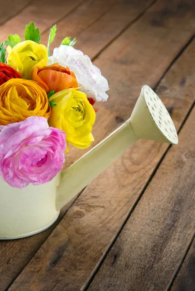 Bouquet of colorful ranunculus on wooden table — Stock Photo, Image