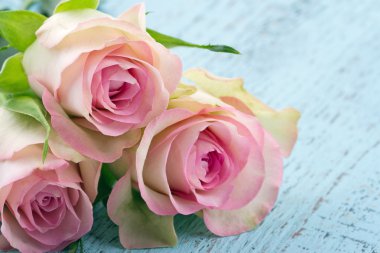 hafif mavi ahşap zemin üzerinde pembe güller