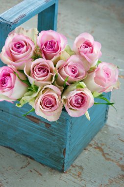 Roses in an old blue wooden gardening basket