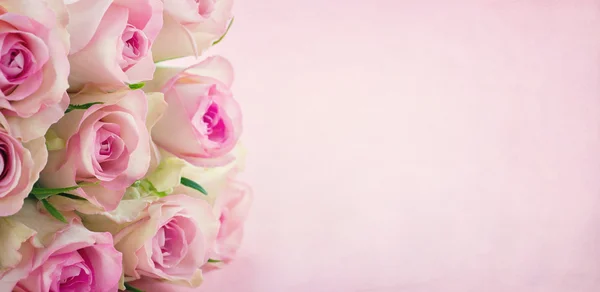 Pink roses with copy space — Stock Photo, Image