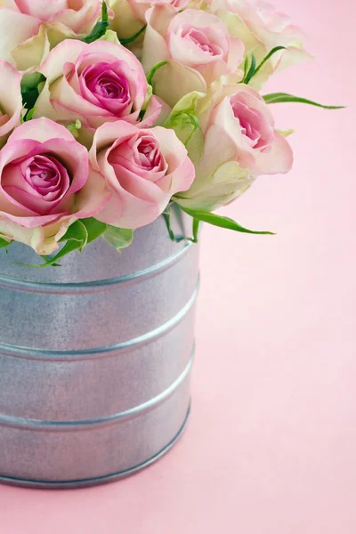 Pink romantic roses on pastel color background — Stock Photo, Image