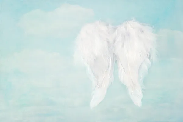 White angel wings on blue sky background — Stock Photo, Image