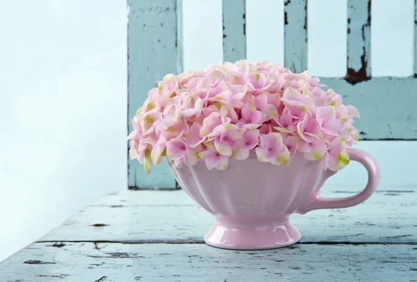 Kopp full av rosa hortensia på vintage stol — Stockfoto