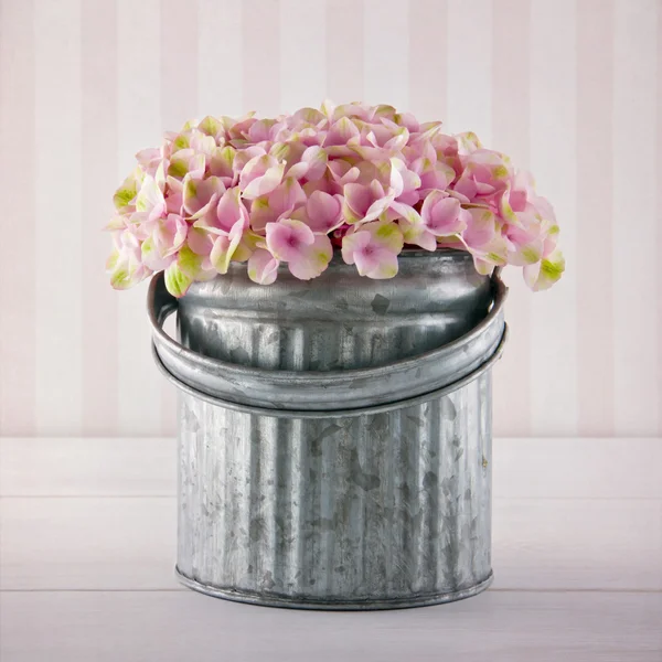 Květy růžové hortenzie v plechový kbelík — Stock fotografie